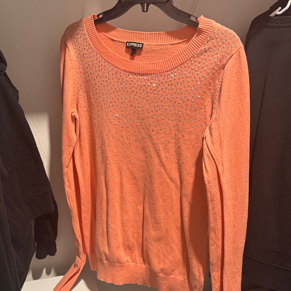 Express Coral Embellished Knit Top
